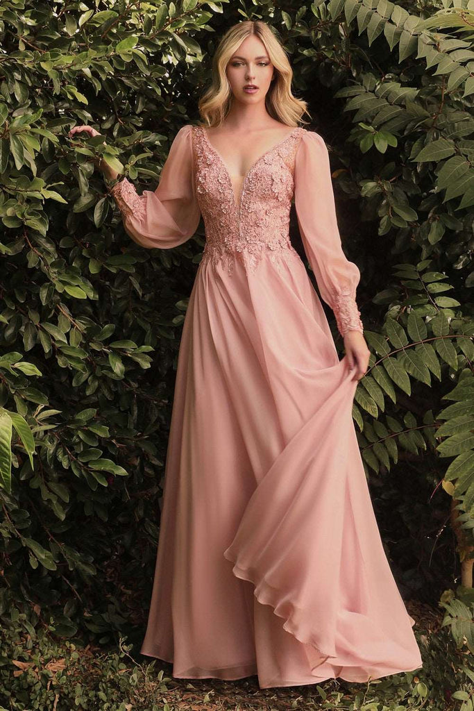 CD CD0183 - Detailed Long Sleeve A-Line Formal Gown with