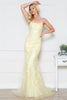AC 799 - Floral Lace Applique Over Tulle Fit & Flare Prom Gown with Scoop Neck & Open Lace Up Corset Back