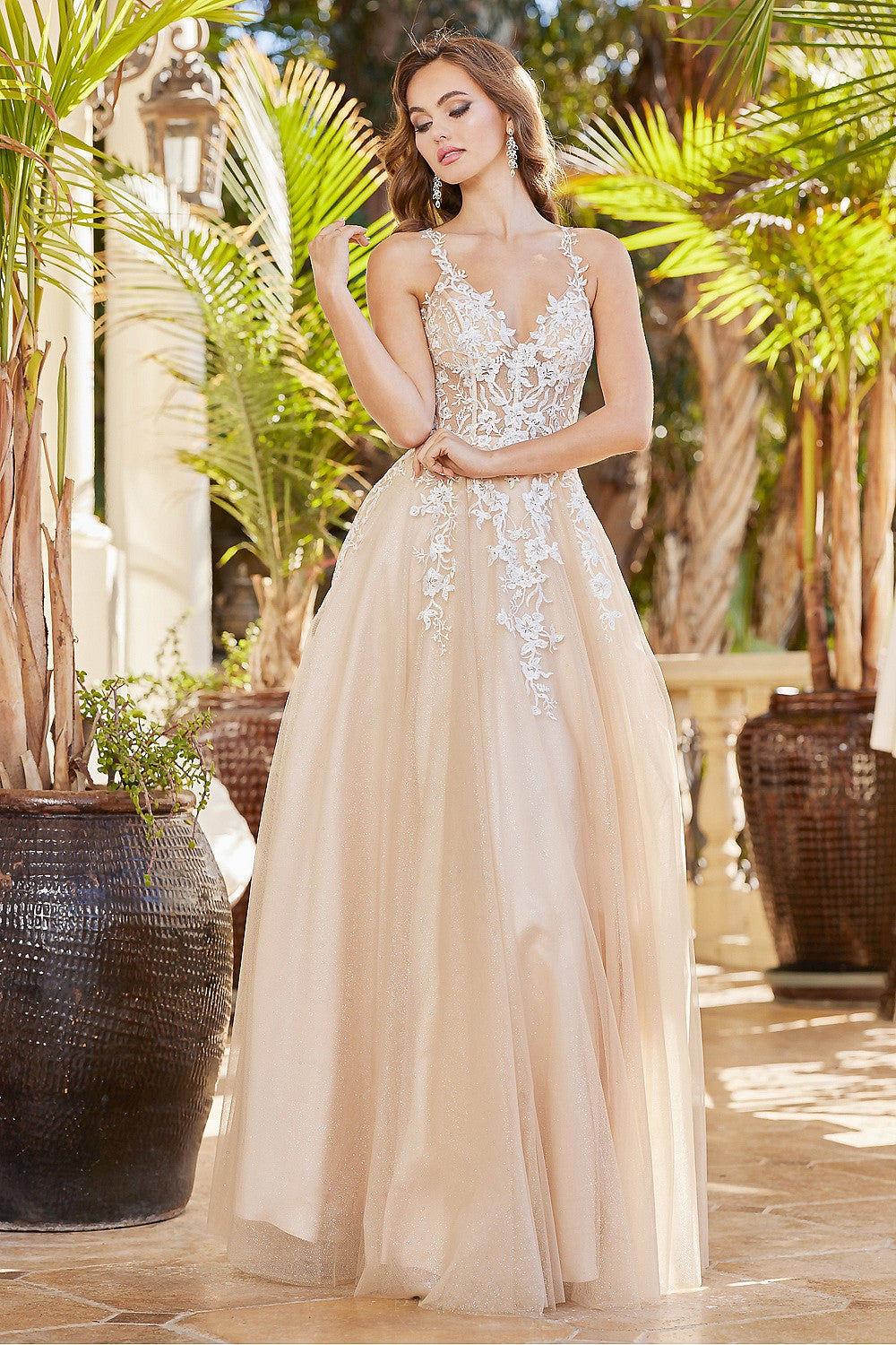 AD 3089 - A-Line Lace Embellished Prom Gown With Sheer Bodice & Open B Diggz Formals AD 3089 - A-Line Lace Embellished Prom Gown With Sheer Bodice & Open B Diggz Formals