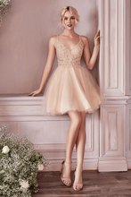 CD CD0190 - A-Line Homecoming Dress with Sheer Lace Embroidered Bodice & Layered Tulle Skirt Homecoming Cinderella Divine XS CHAMPAGNE 