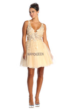 MQ 1863 - Short A-Line Homecoming Dress with 3D Applique Sheer Bodice V-Neck & Layered Tulle Skirt Homecoming Mayqueen   