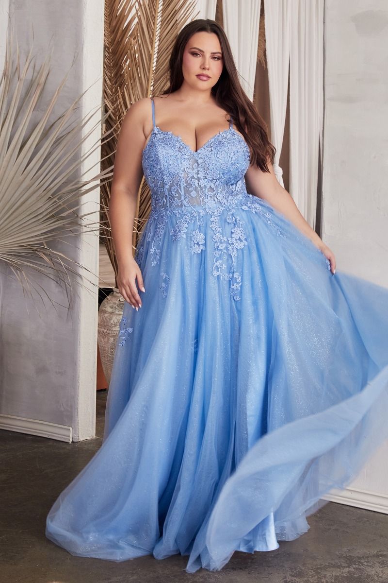 CD C148C - Plus Size Lace & Tulle A-Line Prom Gown with Sheer Corset B –  Diggz Formals