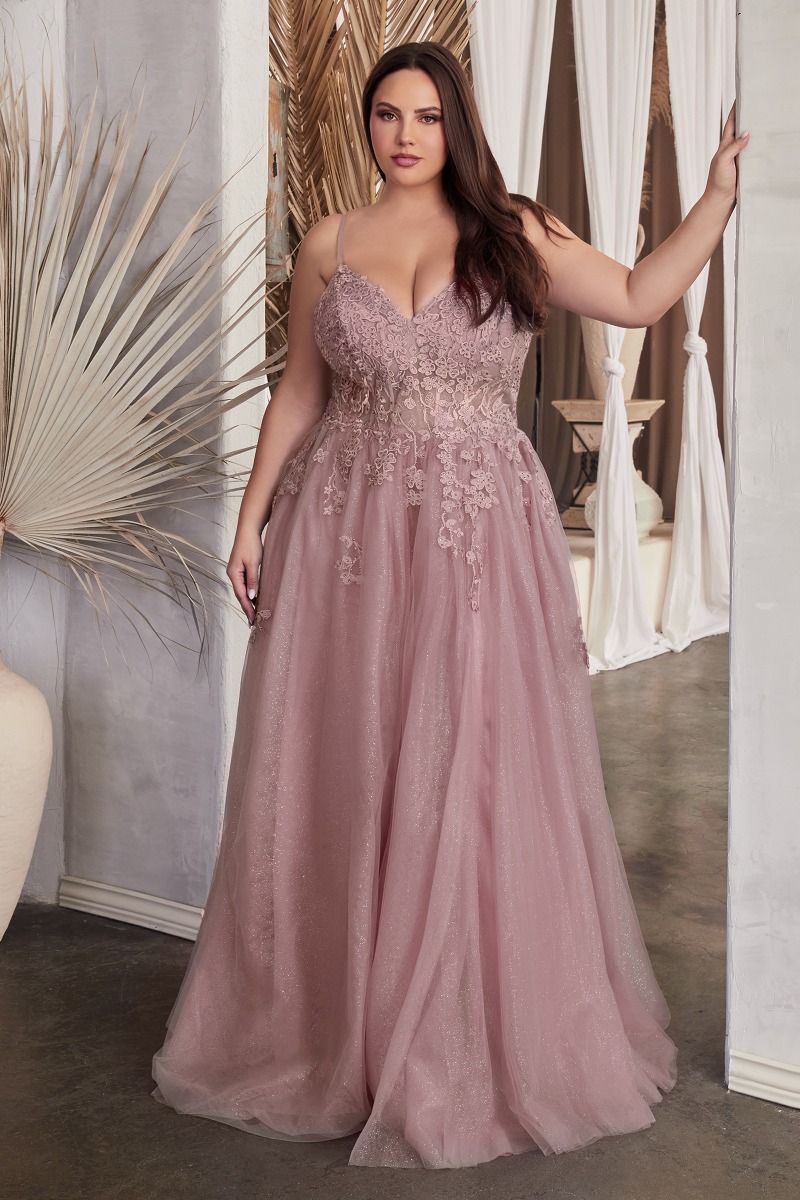 CD C148C - Plus Size Lace & Tulle A-Line Prom Gown with Sheer