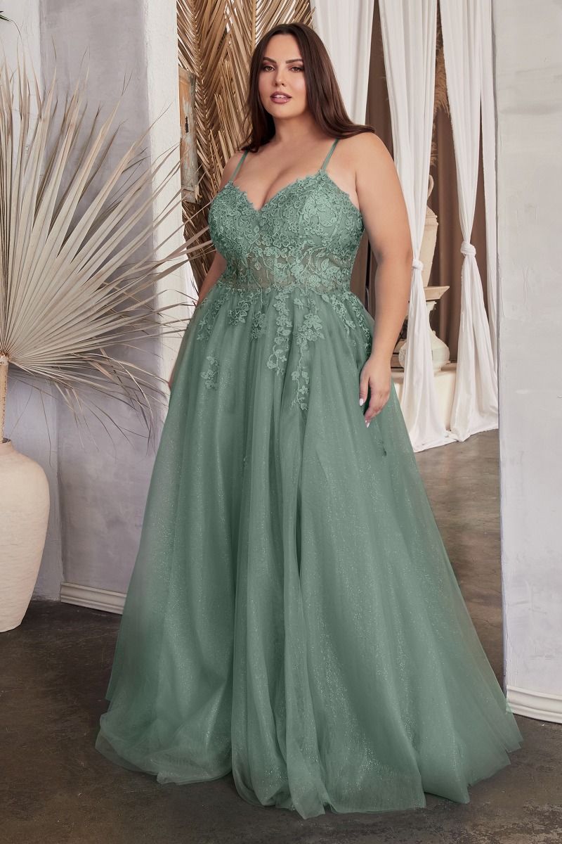CD C148C - Plus Size Lace & Tulle A-Line Prom Gown with Sheer