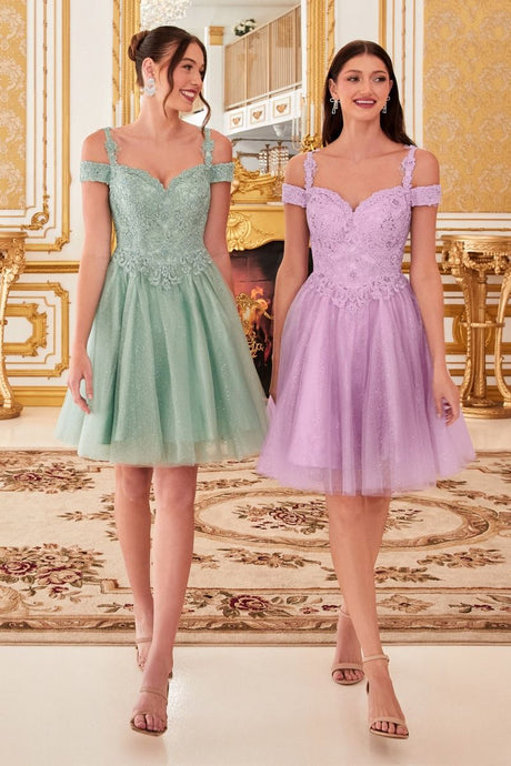 CD CD0132 - Short Off the Shoulder A-Line Homecoming Dress with Lace Detail Glitter Tulle Skirt & Lace Up Corset Back Homecoming Cinderella Divine   