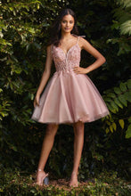 CD CD0188 - Short A-Line Homecoming Dress with Sheer Beaded Lace Embellished Bodice & Tie Straps Homecoming Cinderella Divine XS BLUSH 