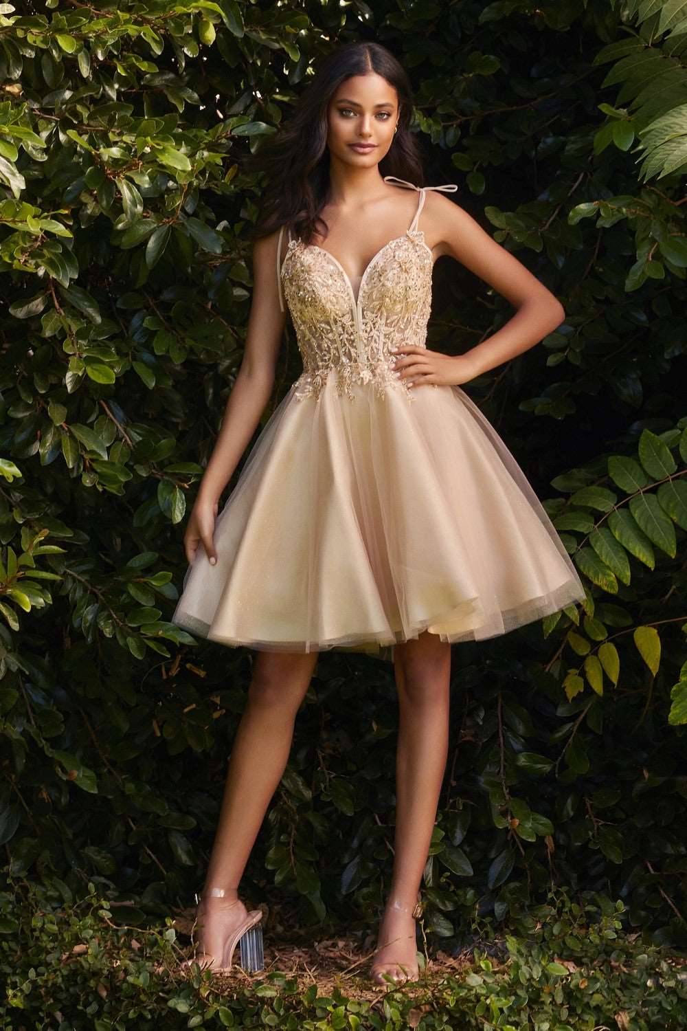 CD CD0188 - Short A-Line Homecoming Dress with Sheer Beaded Lace Embellished Bodice & Tie Straps Homecoming Cinderella Divine XS CHAMPAGNE 
