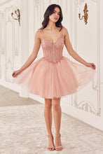 CD CD0236 - Short Layered Glitter Tulle A-line Homecoming Dress with Sheer Beaded Lace Appliqued V-Neck Bodice Homecoming Cinderella Divine XXS BLUSH 