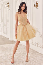 CD CD0236 - Short Layered Glitter Tulle A-line Homecoming Dress with Sheer Beaded Lace Appliqued V-Neck Bodice Homecoming Cinderella Divine XXS CHAMPAGNE 