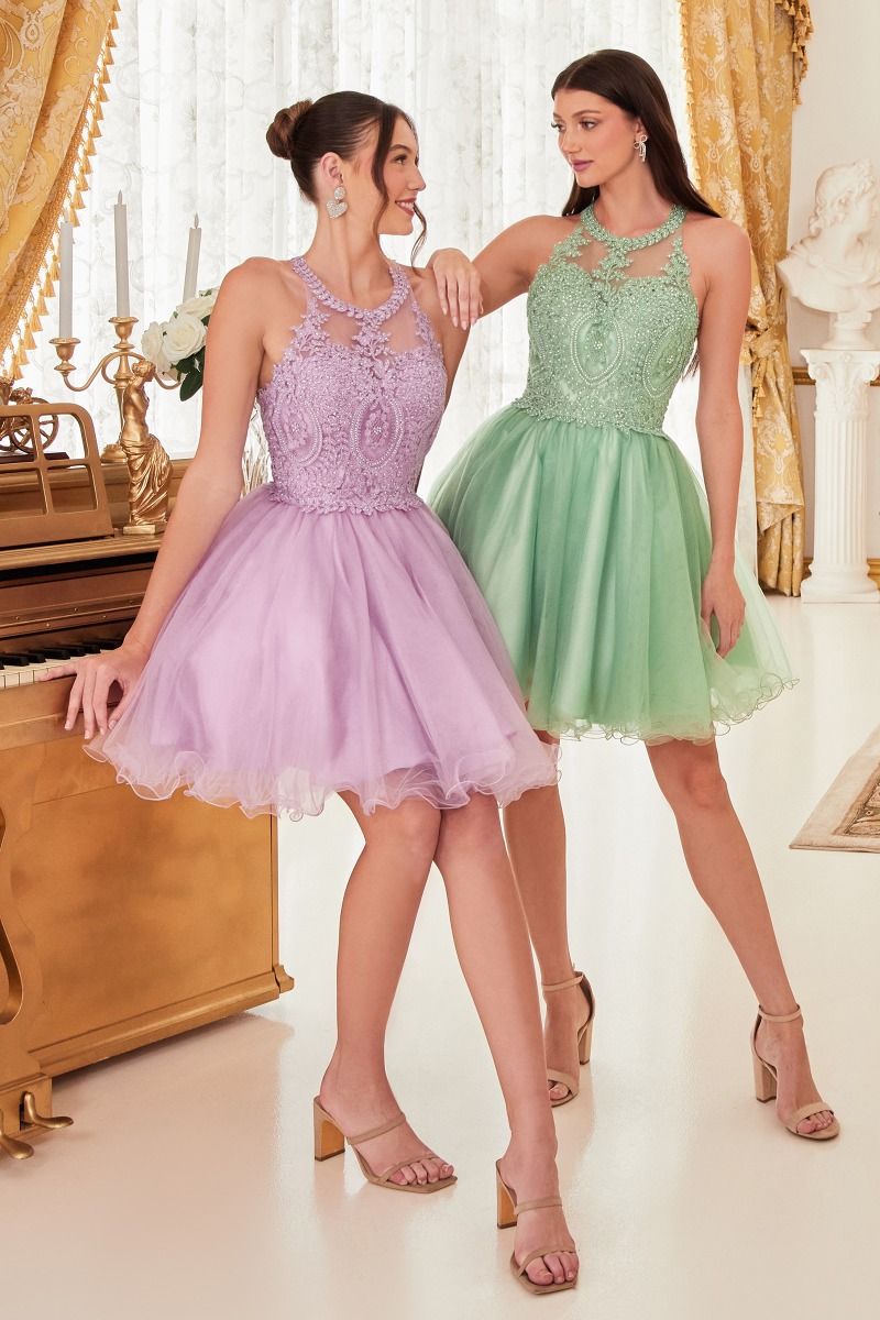 CD UJ0119 - Short A-Line Homecoming Dress with Lace Embroidered Top & Tulle  Skirt