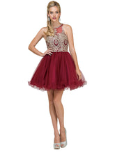 DQ 2156 - Short Homecoming Dress with Lace Appliqué High Neck & Tulle Skirt Homecoming Dancing Queen XS BURGUNDY 