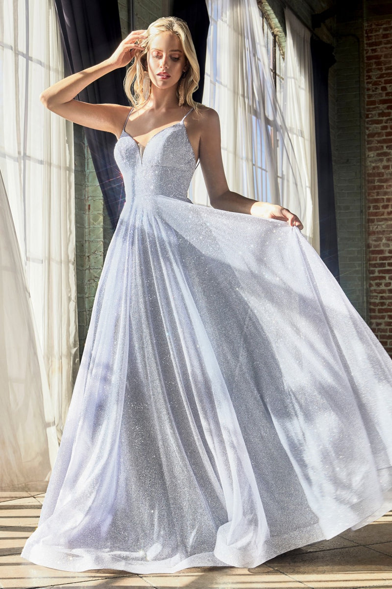 CD CD205 - A-Line Ball Gown With V-Neck Rhinestone Embellished Spaghetti  Straps & Layered Shimmer Tulle Skirt