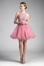 CD UJ0119 - Short A-Line Homecoming Dress with Lace Embroidered Top & Tulle Skirt Homecoming Cinderella Divine XS ROSE 