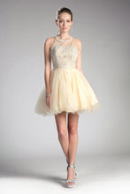 CD UJ0119 - Short A-Line Homecoming Dress with Lace Embroidered Top & Tulle Skirt Homecoming Cinderella Divine XS CHAMPAGNE 