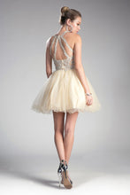 CD UJ0119 - Short A-Line Homecoming Dress with Lace Embroidered Top & Tulle Skirt Homecoming Cinderella Divine   